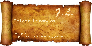 Friesz Lizandra névjegykártya